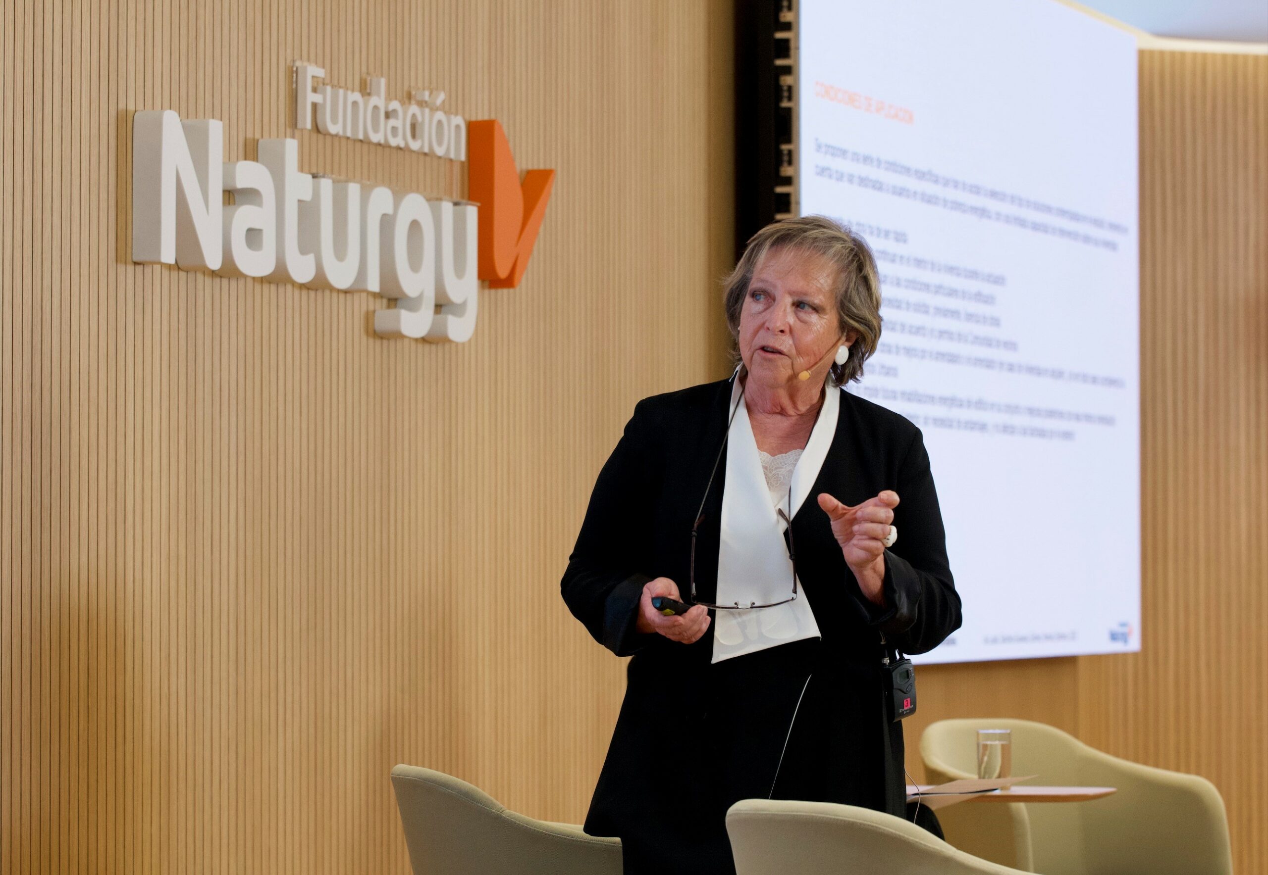 Margarita de Luxan, catedrática emérita de la de la Universidad Politécnica de Madrid, ha participado en el seminario de Fundación Naturgy.
